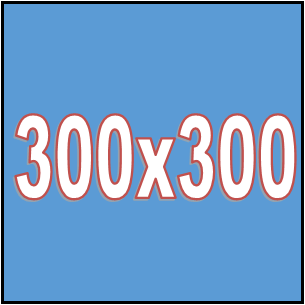 300x300 image