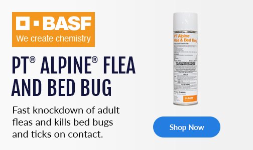 Alpine Flea and Bed Bug